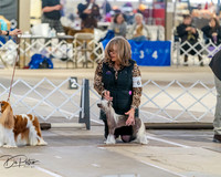 20260328-DSC07432