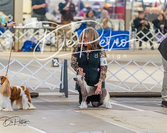20260328-DSC07432