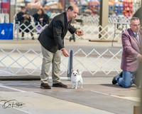 20260328-DSC07437