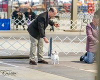 20260328-DSC07439