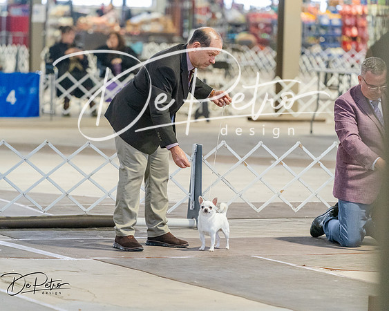 20260328-DSC07439