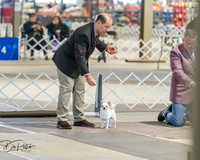 20260328-DSC07440