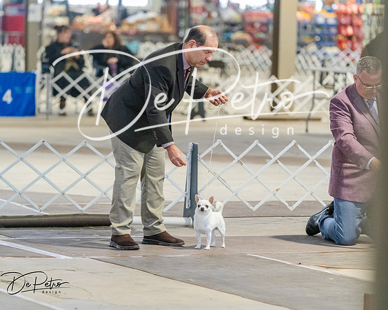 20260328-DSC07440