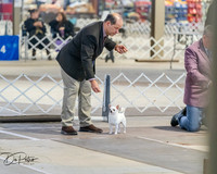 20260328-DSC07444