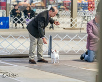 20260328-DSC07443