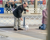 20260328-DSC07447
