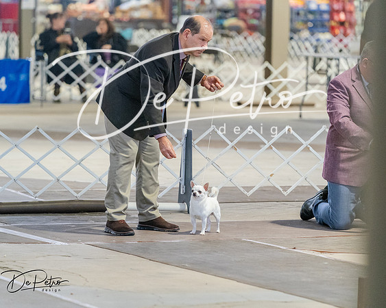20260328-DSC07447