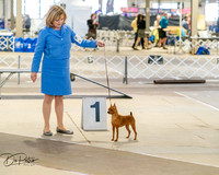 20260328-DSC07449