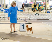 20260328-DSC07453
