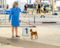 20260328-DSC07450