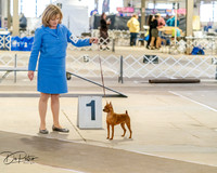 20260328-DSC07455