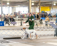 20260328-DSC07475