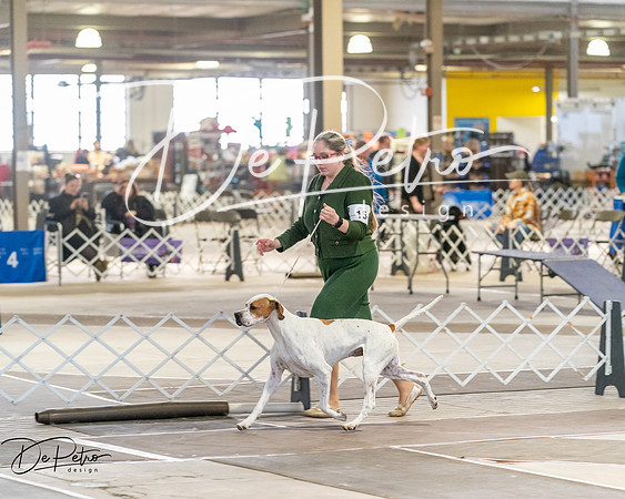 20260328-DSC07475