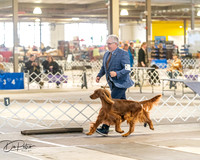 20260328-DSC07468