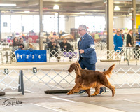 20260328-DSC07472