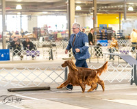 20260328-DSC07467