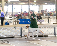 20260328-DSC07484