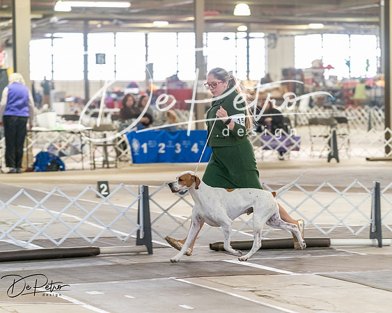 20260328-DSC07484