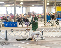 20260328-DSC07479