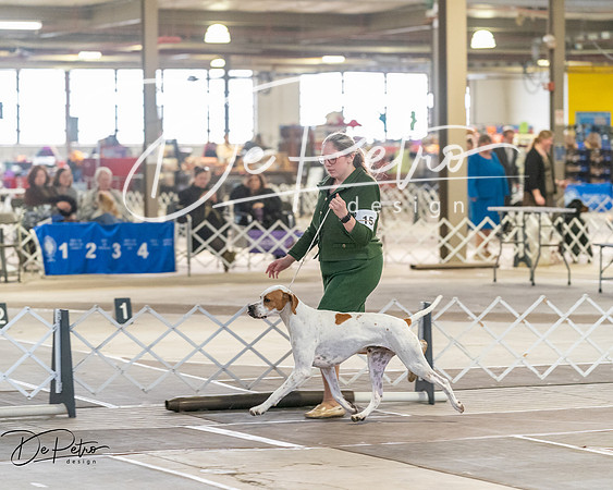 20260328-DSC07479