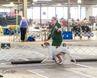 20260328-DSC07488