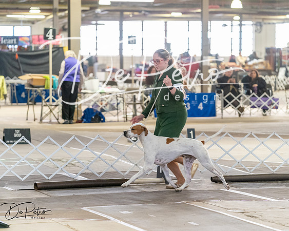 20260328-DSC07488