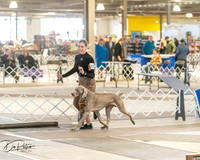 20260328-DSC07492
