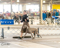 20260328-DSC07497
