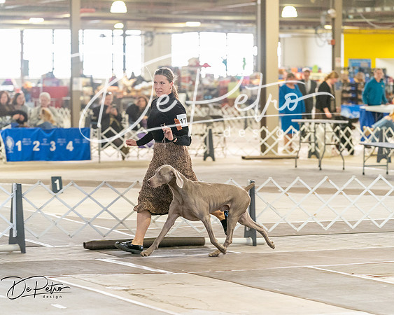 20260328-DSC07497