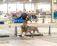 20260328-DSC07502