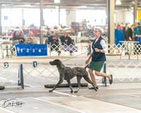 20260328-DSC07507