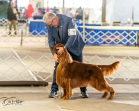 20260328-DSC07528