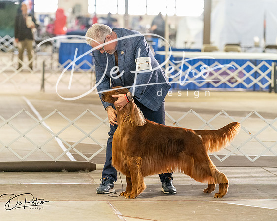 20260328-DSC07528
