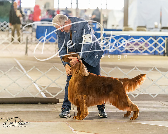 20260328-DSC07529