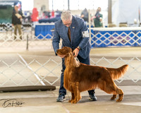 20260328-DSC07531