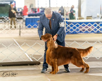20260328-DSC07532