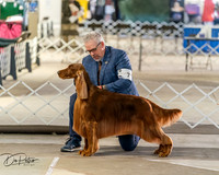 20260328-DSC07534