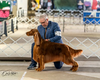 20260328-DSC07535