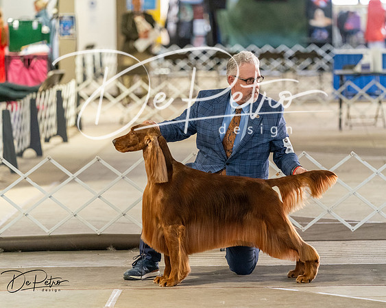 20260328-DSC07538