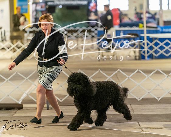 20260328-DSC07550