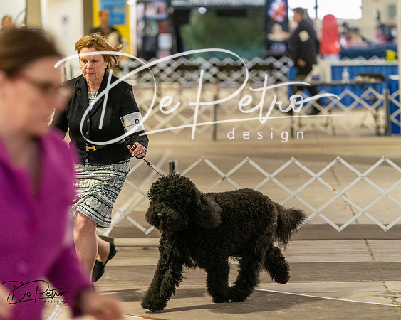 20260328-DSC07554