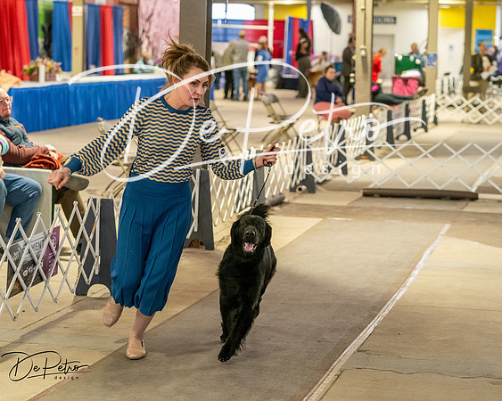 20260328-DSC07571