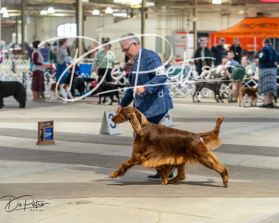 20260328-DSC07581