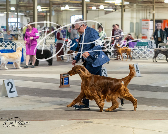 20260328-DSC07586