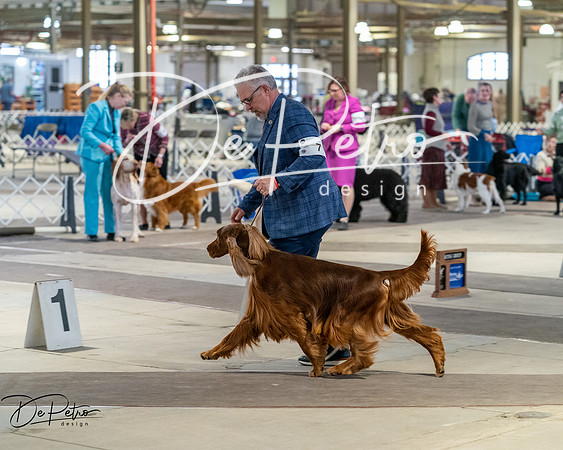 20260328-DSC07596