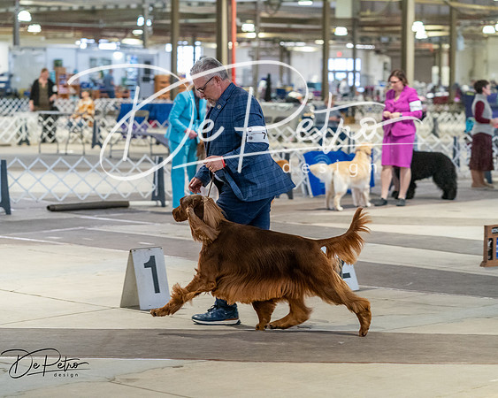 20260328-DSC07601