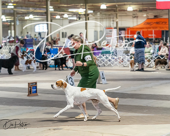 20260328-DSC07608