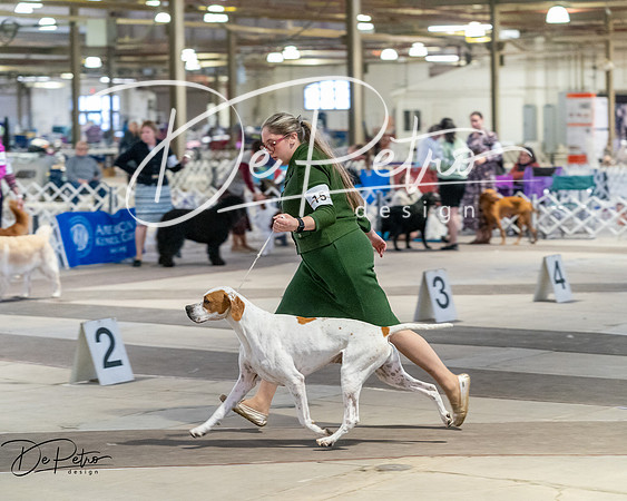 20260328-DSC07613