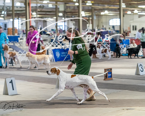 20260328-DSC07617