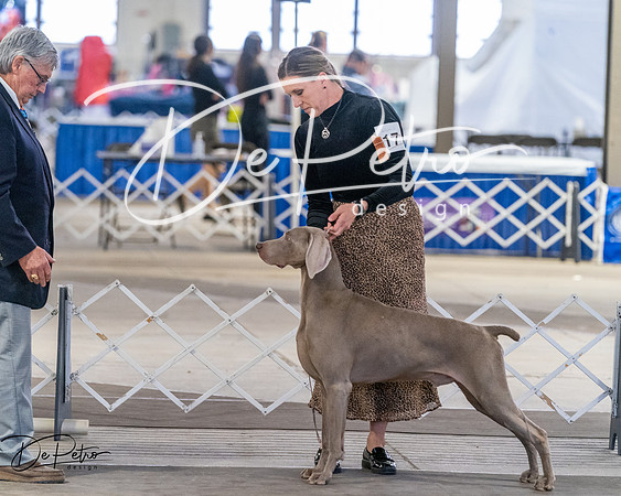 20260328-DSC07625